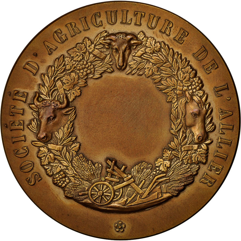 France, Medal, Société d'Agriculture de l'Allier, Dropsy, MS(63), Bronze