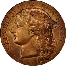 France, Medal, Ministère de l'Agriculture, 1880, Ponscarme, MS(60-62), Bronze