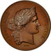 France, Medal, Ministère de l'Agriculture et de Commerce, Marianne, 1877