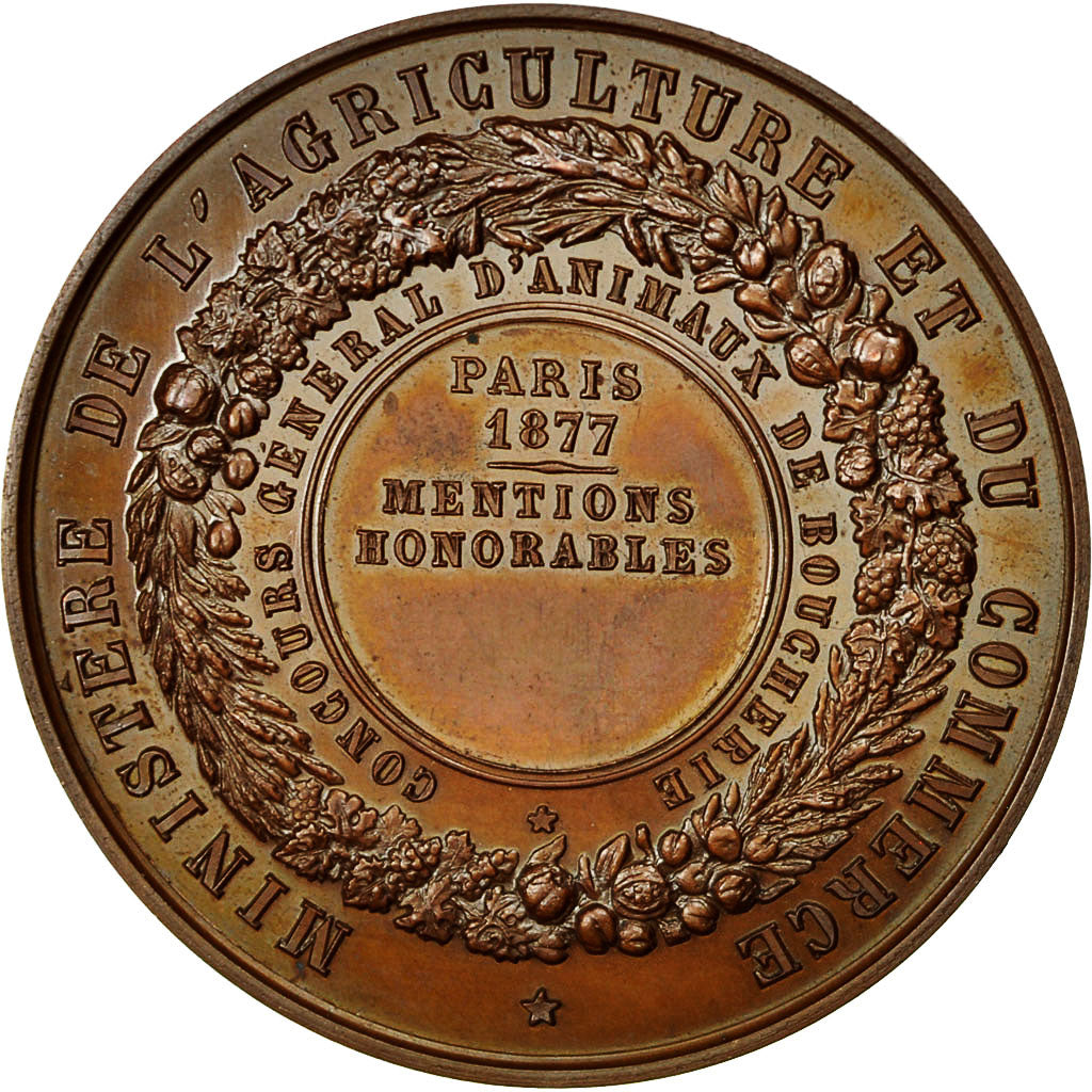 France, Medal, Ministère de l'Agriculture et de Commerce, Marianne, 1877