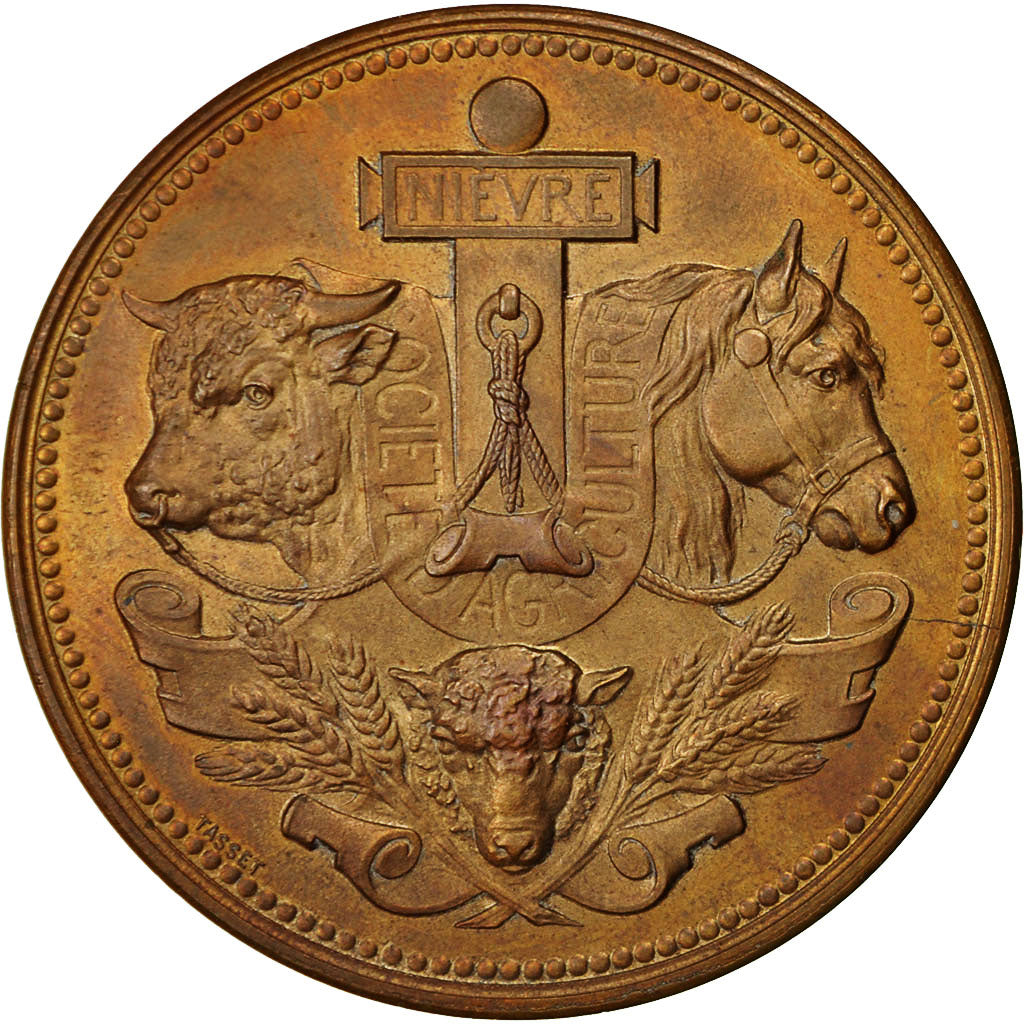 France, Medal, Société Départementale d'Agriculture de la Nièvre, 1881