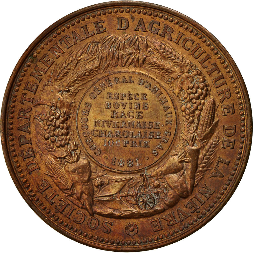 France, Medal, Société Départementale d'Agriculture de la Nièvre, 1881