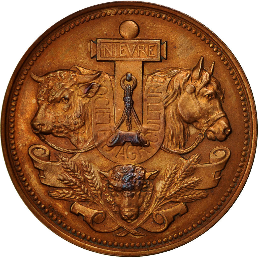 France, Medal, Société Départementale d'Agriculture de la Nièvre, 1884