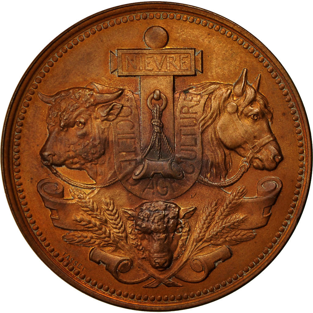 Frankrijk, Medal, Société Départementale d'Agriculture de la Nièvre, 1883