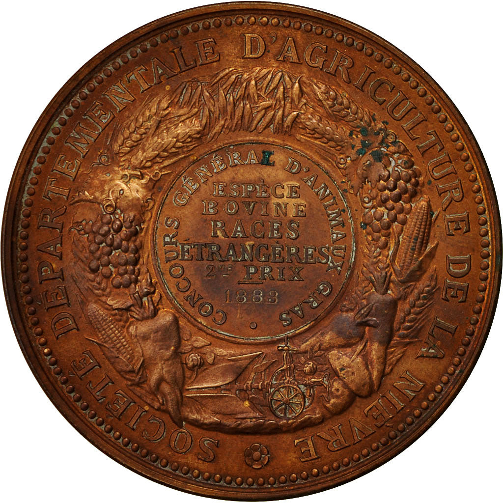 Frankrijk, Medal, Société Départementale d'Agriculture de la Nièvre, 1883