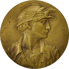 France, Medal, Presse, L'écho de Paris, Dropsy, MS(60-62), Copper