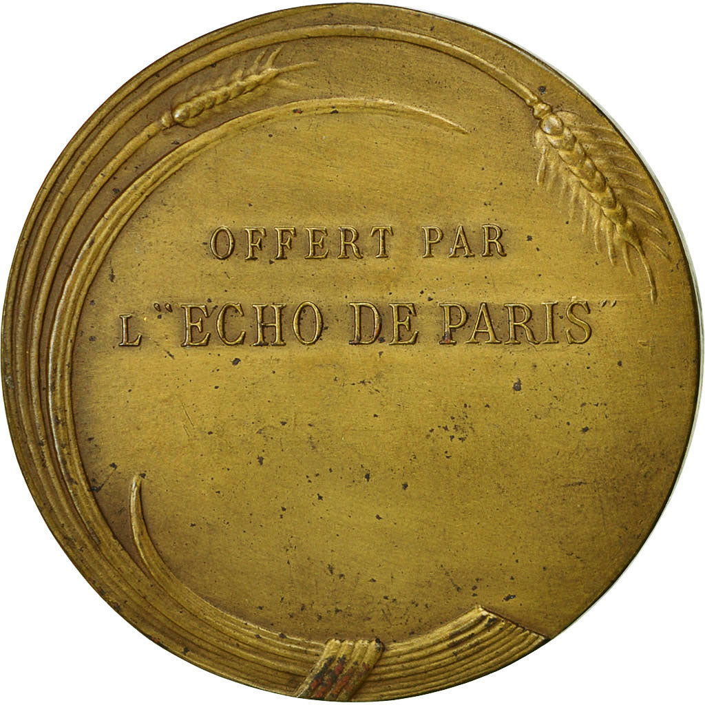 France, Medal, Presse, L'écho de Paris, Dropsy, MS(60-62), Copper