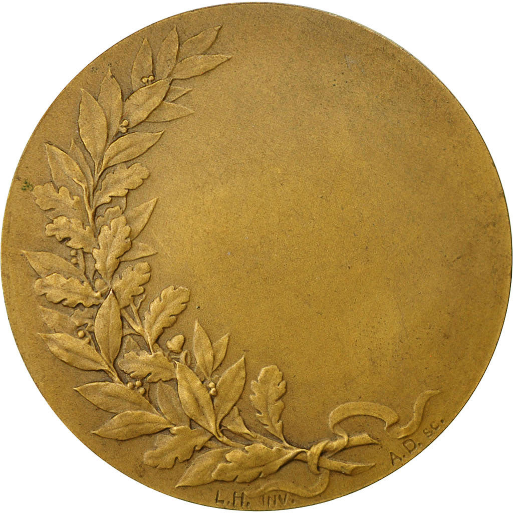 France, Medal, Ville de Lille, Dubois.H, MS(60-62), Bronze