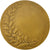 Francja, Medal, Ville de Lille, Dubois.H, MS(60-62), Bronze