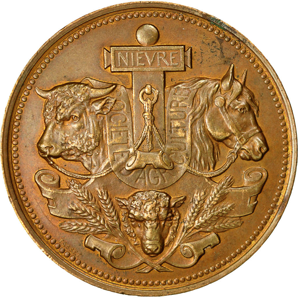 France, Medal, Société d'Agriculture de la Nièvre, 1884, Tasset, MS(60-62)