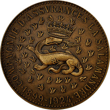 France, Medal, Compagnie d'Assurances La Salamandre, 1924, SPL, Bronze