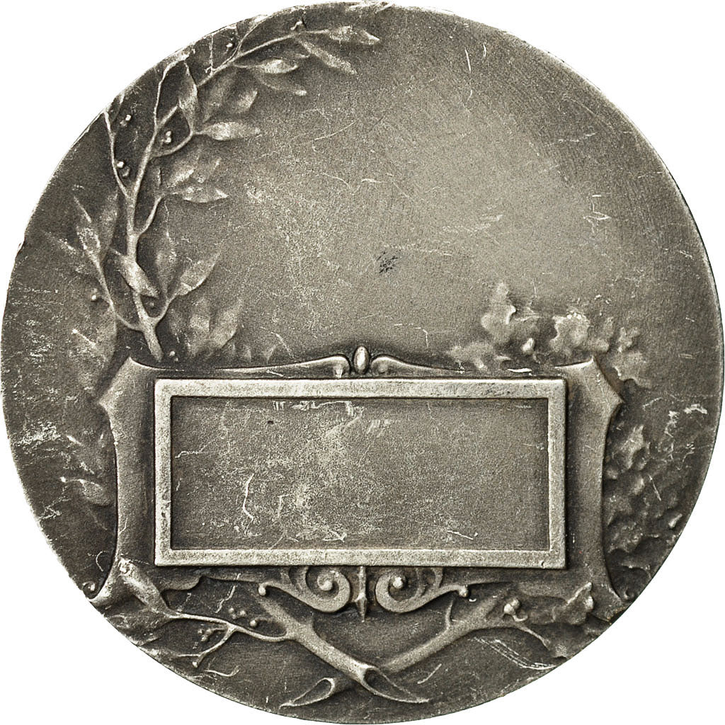 Frankrijk, Medal, Femme Assise aux Rameaux, Baudichon, PR+, Silvered bronze