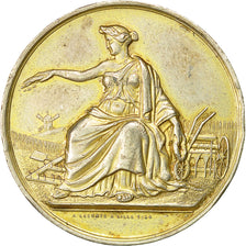 France, Medal, Comice Agricole de l'Arrondissement de Lille, 1854, Lecomte