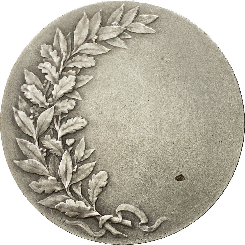 France, Medal, Ville de Lille, Dubois.A, MS(63), Silver