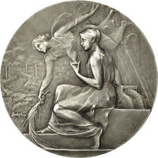 Frankreich, Medal, Cours Professionnels Tourcoing, Dropsy, VZ, Silvered bronze
