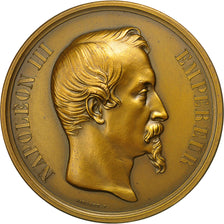 France, Medal, Napoléon III, Colonisation Française en Algérie, Pingret