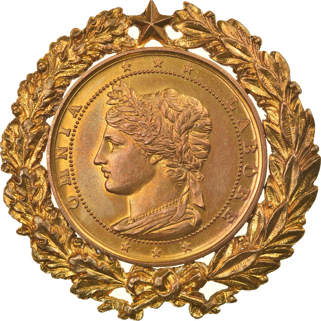France, Medal, Exposition d'Orléans, Omnia Labor, 1891, MS(63), Bronze