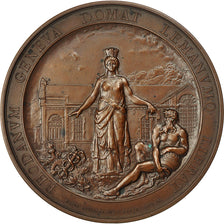 Switzerland, Medal, Achèvement de la Station Hydraulique sur le Rhône
