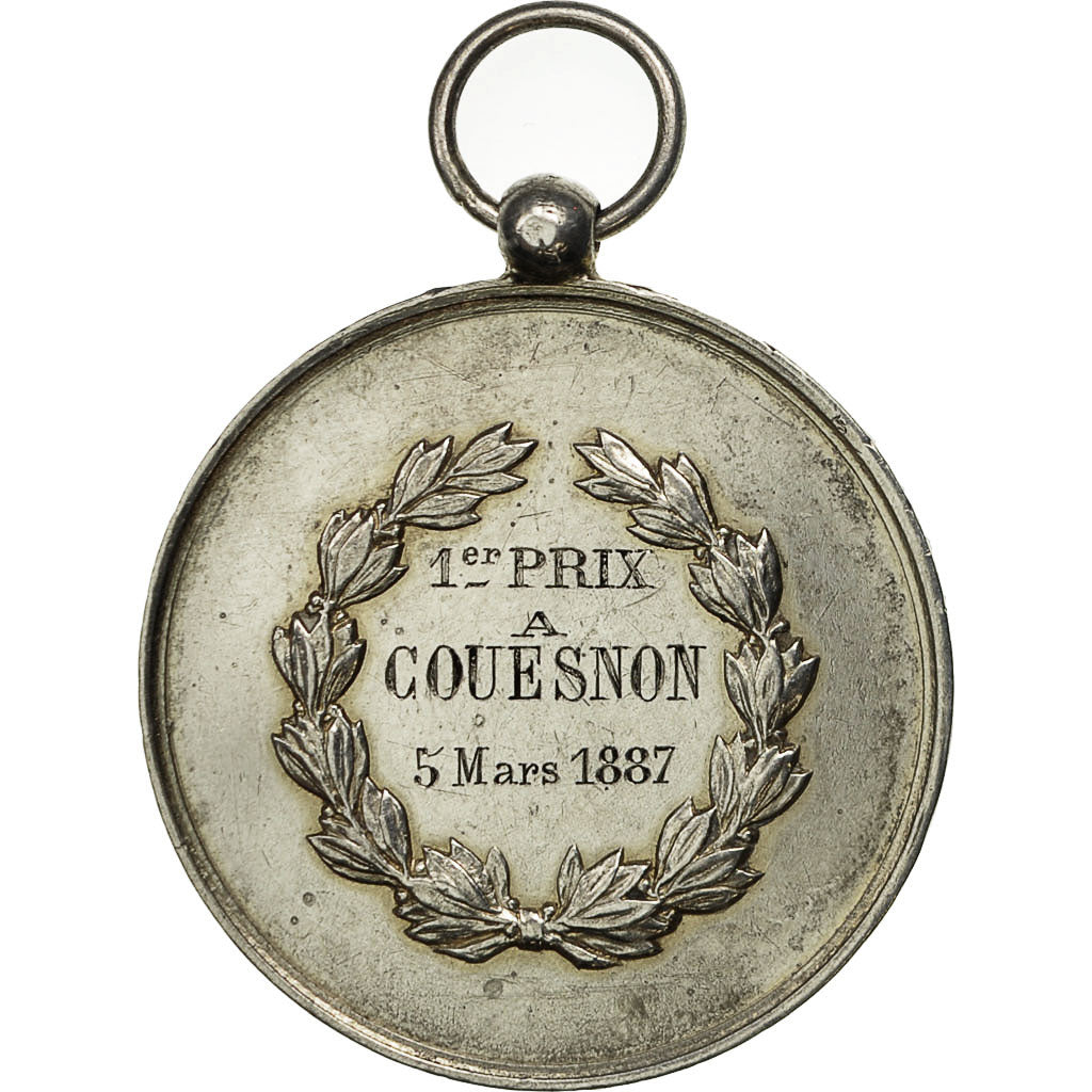 Francia, Medal, Sport et Gymnastique, 1887, Vernon, SPL-, Argento