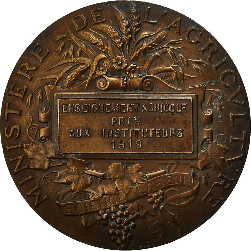 France, Medal, Enseignement Agricole, Prix aux Instituteurs, 1919, Dubois.A