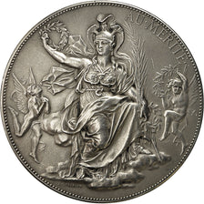 Frankreich, Medal, Troisième République, Au Mérite, Chaplain, VZ, Silber