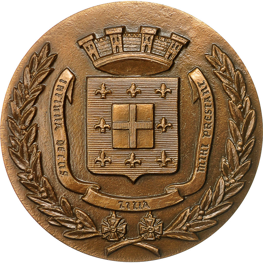 France, Medal, Château de Doullens, 1978, Coutré, MS(63), Bronze