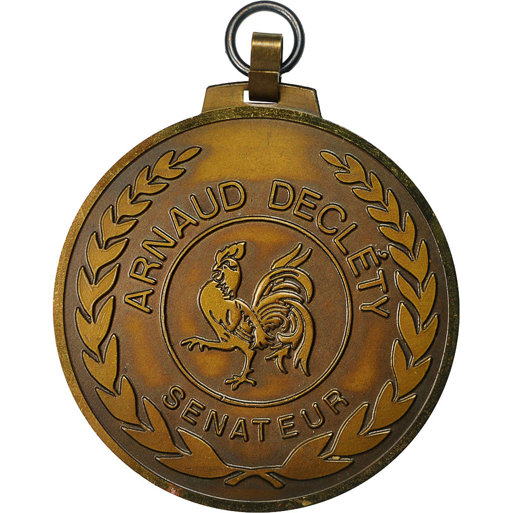 France, Medal, Sport, Coq, Arnaud Decléty, Sénateur, MS(60-62), Bronze