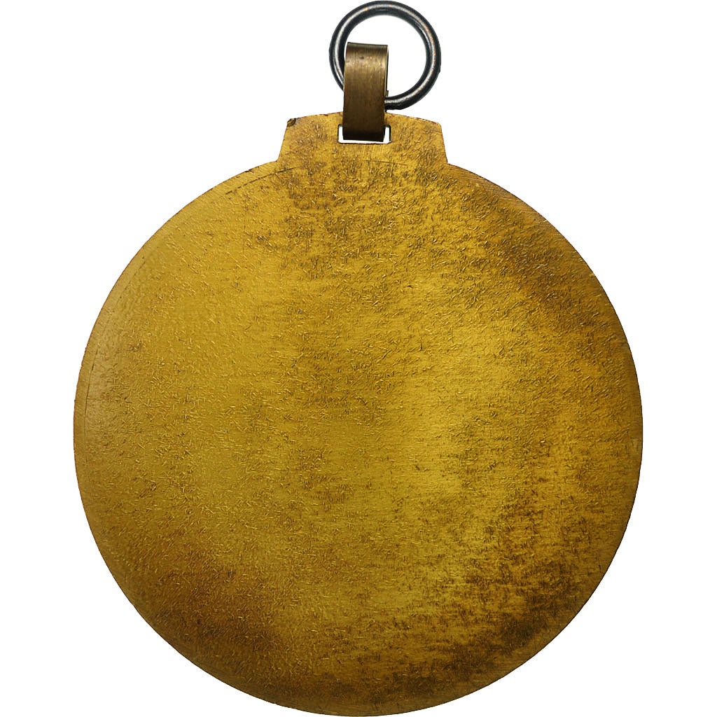 France, Medal, Sport, Coq, Arnaud Decléty, Sénateur, MS(60-62), Bronze