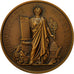 France, Medal, Ministère de la Guerre, Pigeons Voyageurs, Oudiné, MS(63)