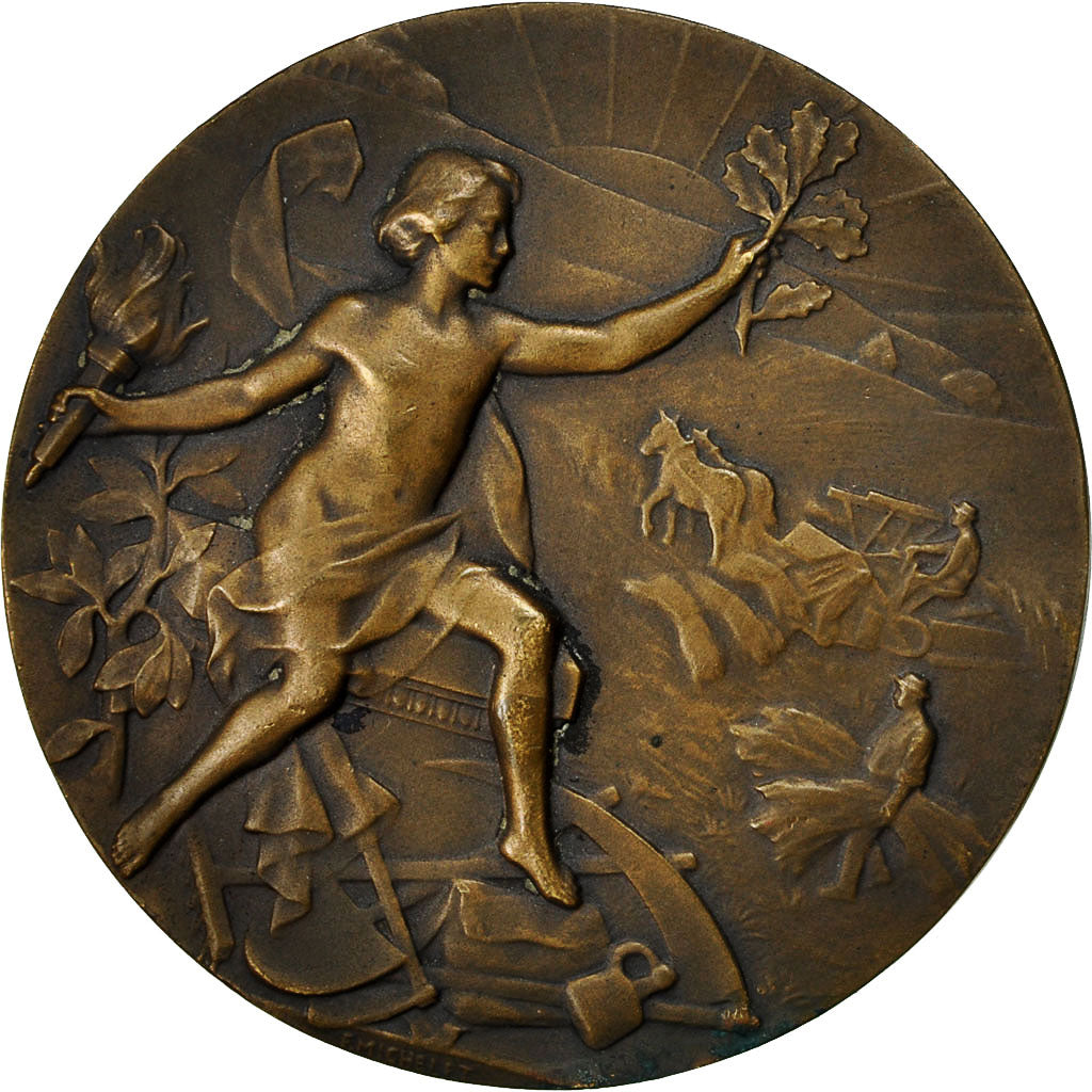 France, Medal, Société des Agriculteurs du Nord, Michelet, VF(30-35), Bronze