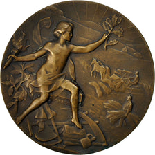 France, Medal, Société des Agriculteurs du Nord, Michelet, VF(30-35), Bronze