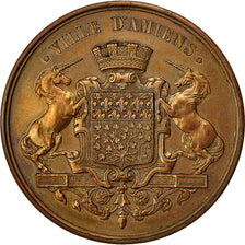 Francia, Medal, Dénombrement Quinquennal de population, Ville d'Amiens, 1891