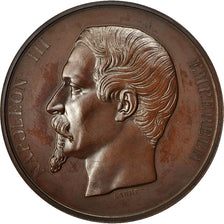 France, Medal, Napoléon III, Statue de Napoléon Ier, 1854, Barre, MS(60-62)