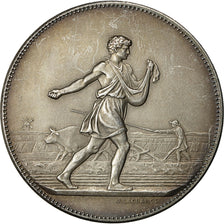 France, Medal, Comices de la Double Echourgnac, 1880, Lagrange, SUP, Argent