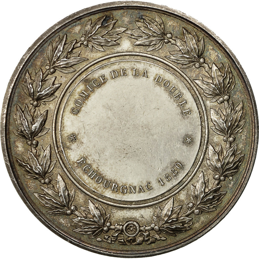 France, Medal, Comices de la Double Echourgnac, 1880, Lagrange, AU(55-58)
