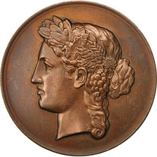 France, Medal, Comice de la Double Echourgnac, 1876, Renée Vautier, SUP, Cuivre