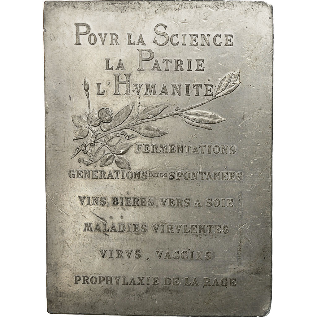 Francja, Medal, Louis Pasteur (1822-1895), Canale, AU(50-53), Ołów