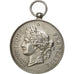 Frankreich, Medal, Société Nationale de Tir des Communes de France, 1898, VZ