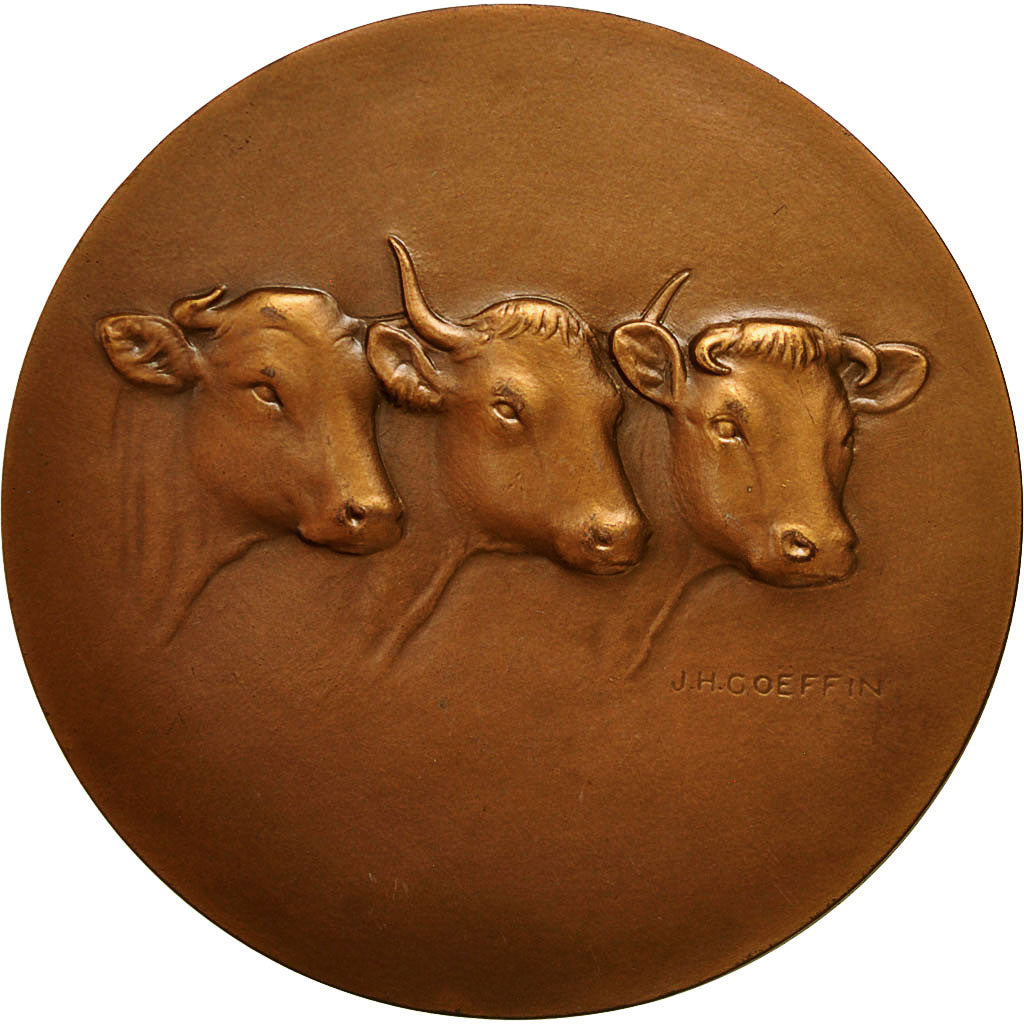 France, Medal, Agriculture, Vaches, 1982, Coeffin, MS(60-62), Bronze
