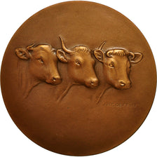 France, Medal, Agriculture, Vaches, 1982, Coeffin, MS(60-62), Bronze