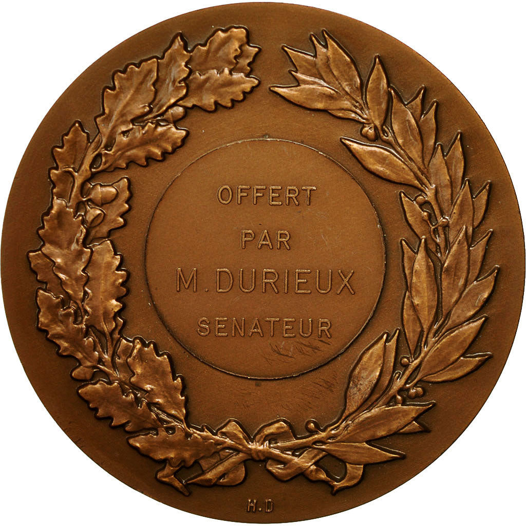 France, Medal, Agriculture, Vaches, 1982, Coeffin, MS(60-62), Bronze