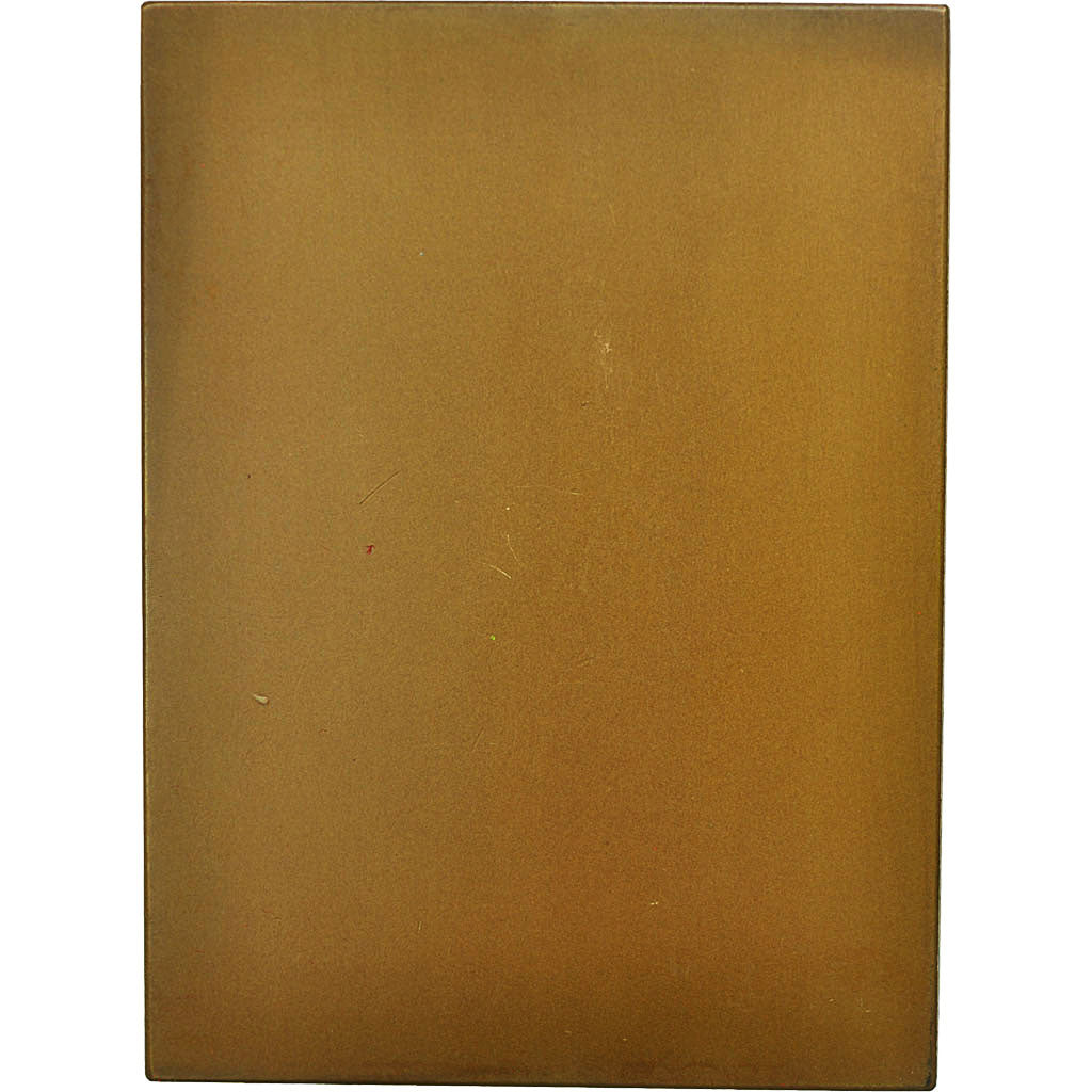 Belgium, Medal, Droit, Au Bâtonnier Louis Leroy, Samuel, MS(60-62), Bronze