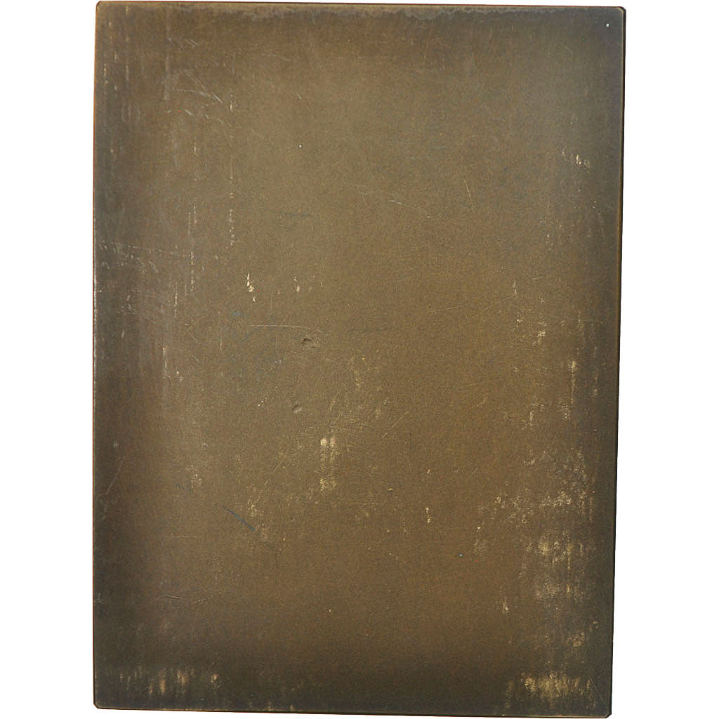 Belgium, Medal, Droit, Au Bâtonnier Louis Leroy, Samuel, AU(50-53), Bronze