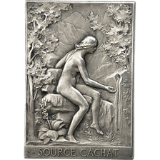 France, Medal, Source Cachat, Inauguration des Bains d'Evian, 1902, Vernon