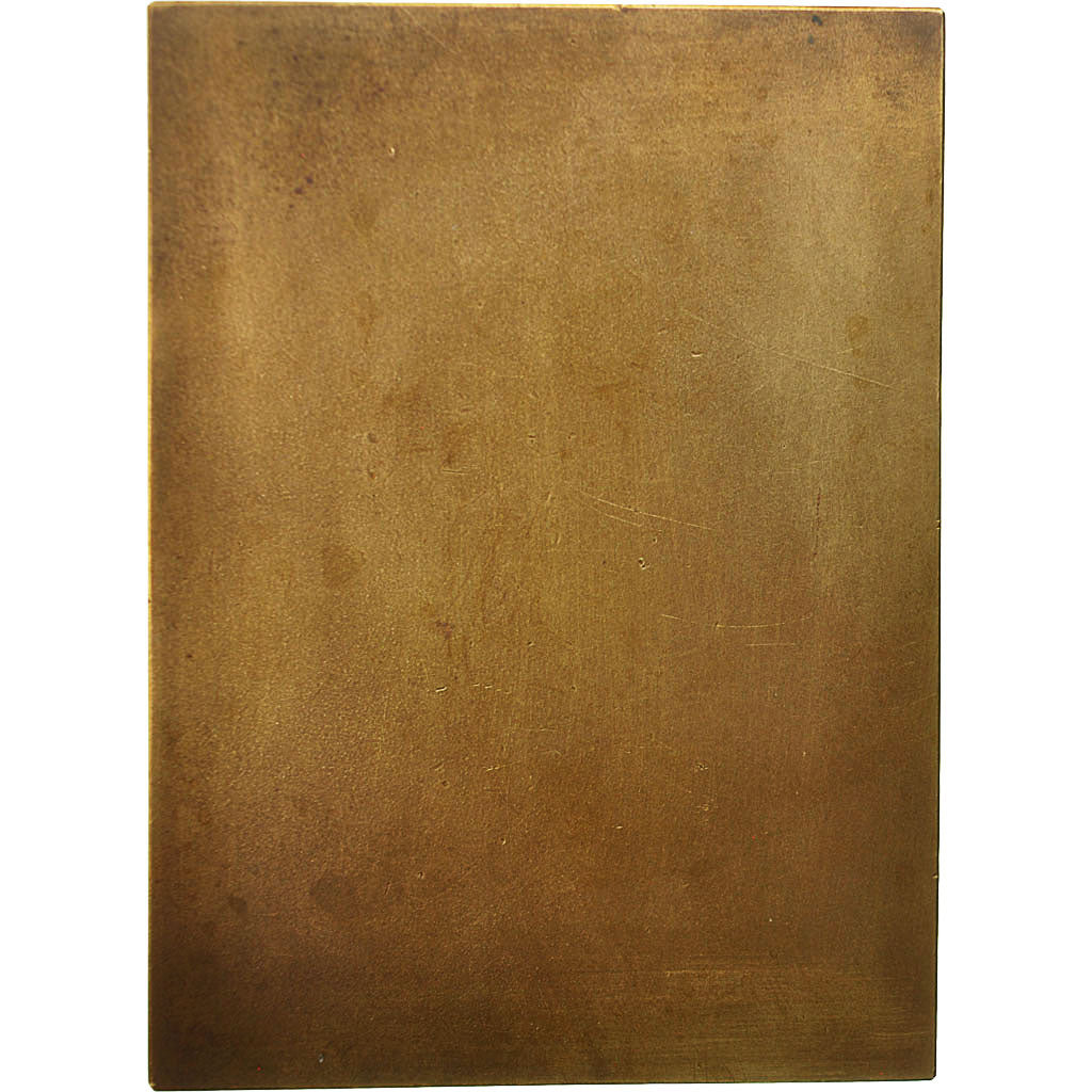 France, Medal, Médecine, Professeur J.Rieux, 1932, MS(60-62), Bronze