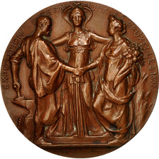 Bélgica, Medal, Exposition Internationale Bruxelles, 1897, Lagae, MBC+, Bronce
