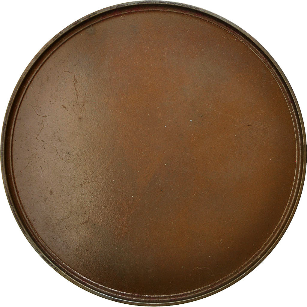 Francia, Medal, Ville de Neuville sur Escaut, 1991, Torcheux, SPL, Bronzo