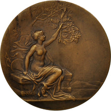 Frankreich, Medal, Femme nue Assise, Pillet, VZ, Bronze