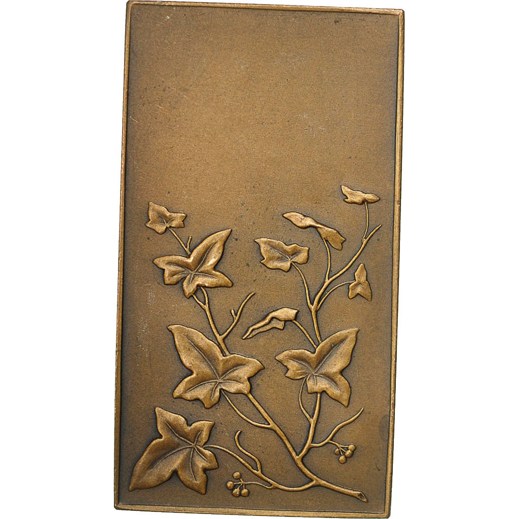 Francia, Medal, Art Nouveau, Femme nue, Mouchon, SPL, Bronzo