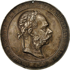 Austria, Medal, François Joseph Ier, Empereur, 1902, Tautenhayn, BB, Argento